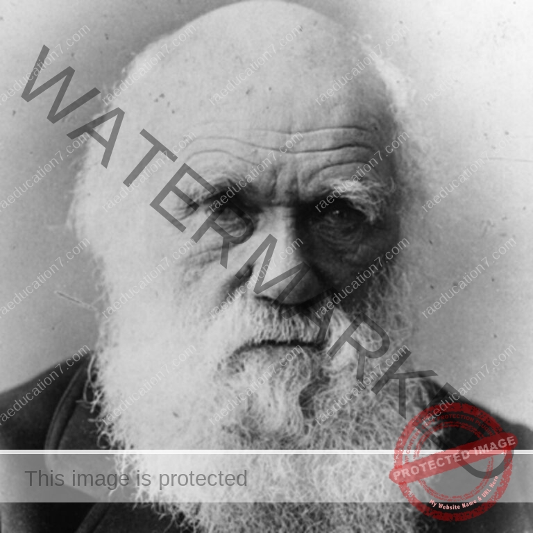 Charles Darwin RA